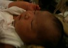 IMG 1268  Day 7