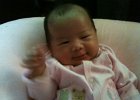 IMG 1387  17 Nov 2012 - hi everyone..
